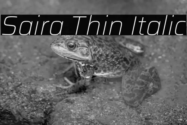 Saira Thin Italic Font examples