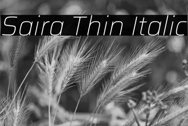 Saira Thin Italic Font examples