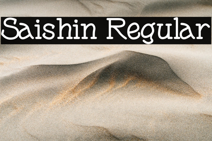 Saishin Regular Example 2