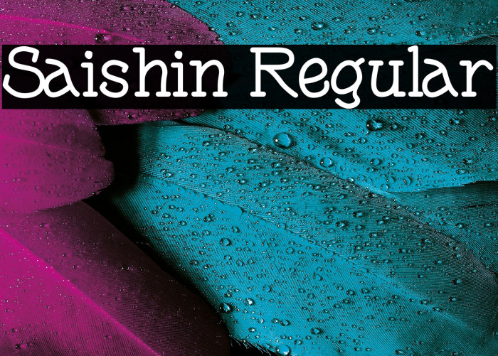 Saishin Regular Example 3