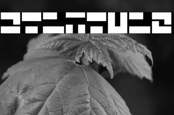 Saiyajin Font examples