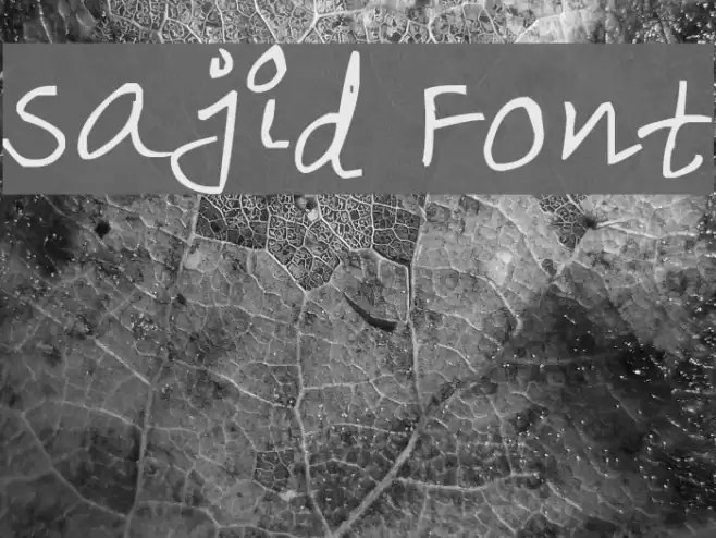 Sajid examples