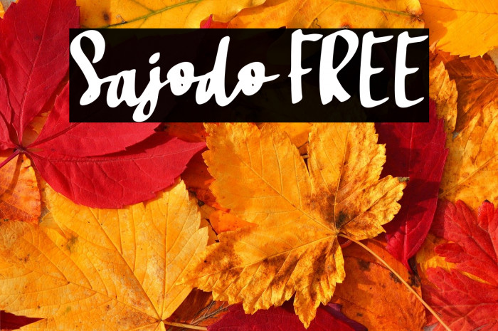 Sajodo FREE Example 2