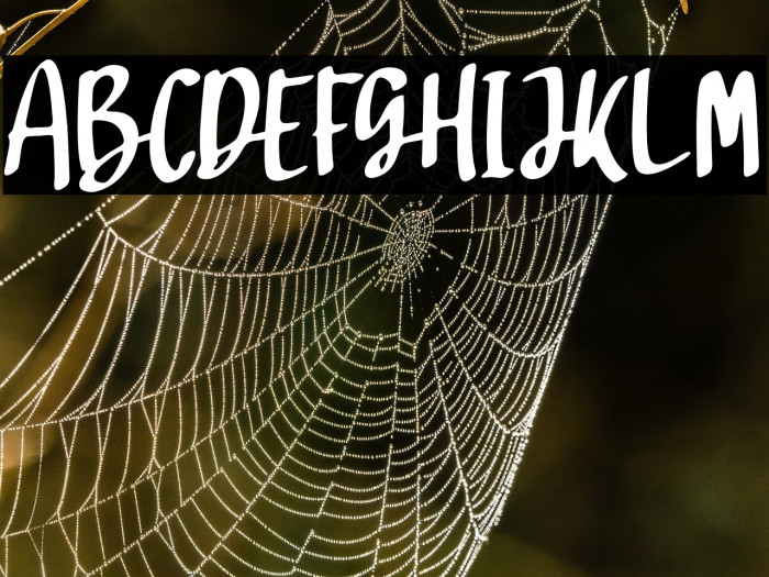 SajodoFREE Example 1