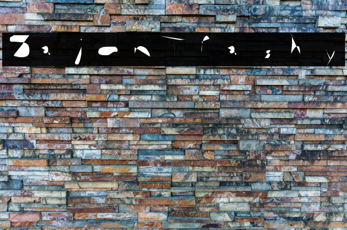 Sajon Trashy Example 2