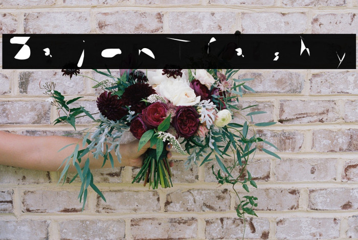 Sajon Trashy Example 3