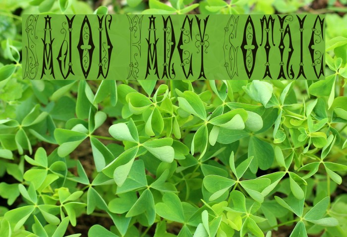 Sajou Fancy Gothic Font examples