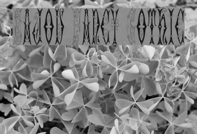 Sajou Fancy Gothic Шрифта examples