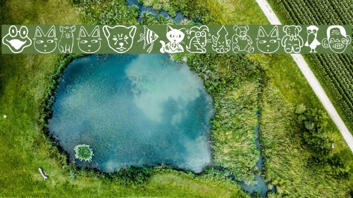 SakabeAnimal01 Font examples