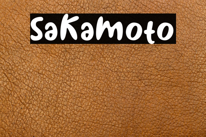 Sakamoto Example 3