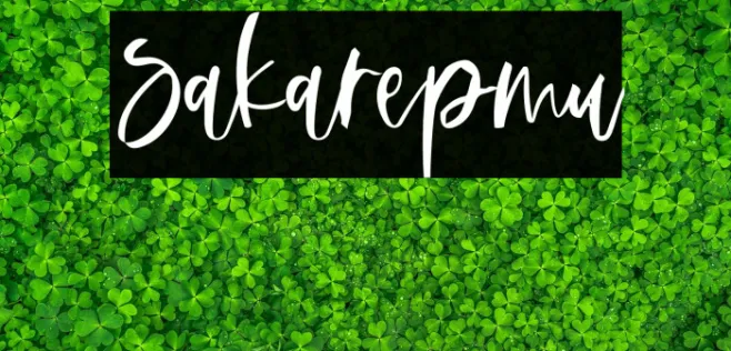 Sakarepmu Example 1