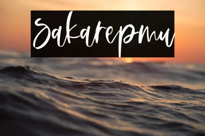 Sakarepmu Example 2