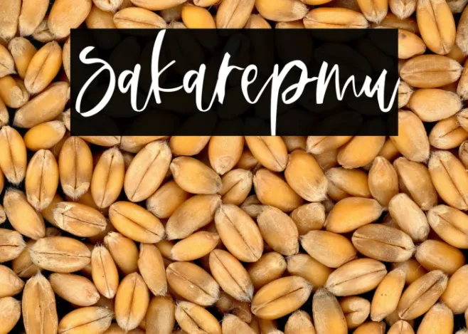 Sakarepmu Example 3