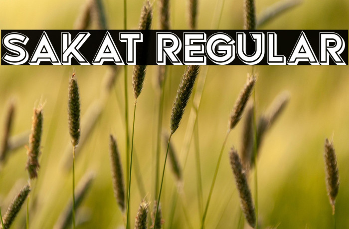 Sakat Regular Example 1