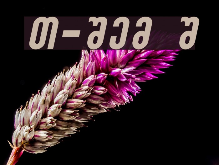 Sakatrvelo-ITV Italic Example 2