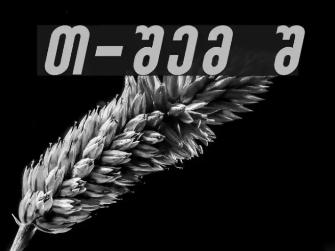 Sakatrvelo-ITV Italic Font examples