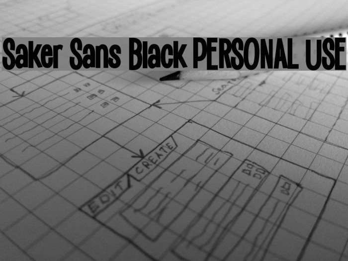 Saker Sans Black PERSONAL USE Example 1