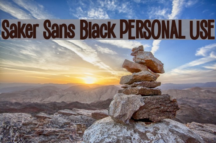 Saker Sans Black PERSONAL USE Example 2