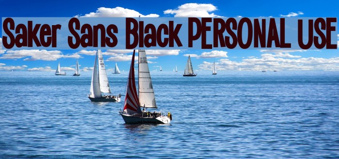 Saker Sans Black PERSONAL USE Example 3