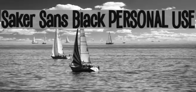 Saker Sans Black PERSONAL USE Font examples