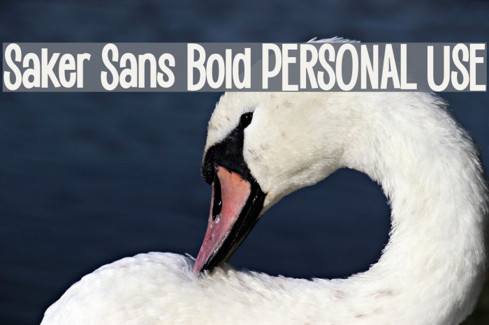 Saker Sans Bold PERSONAL USE Font examples