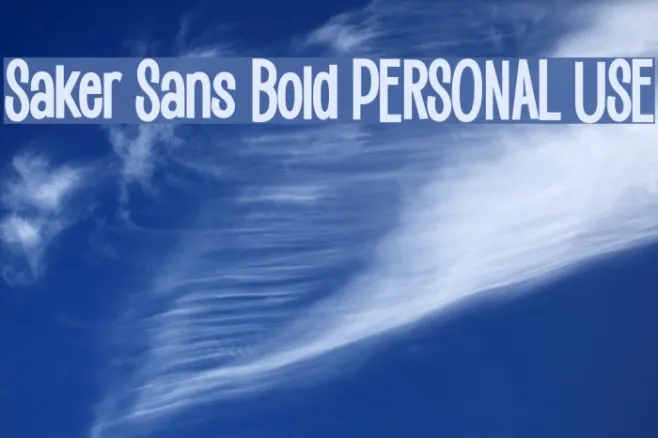 Saker Sans Bold PERSONAL USE Example 3