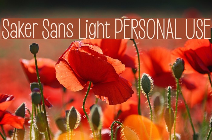Saker Sans Light PERSONAL USE Font examples