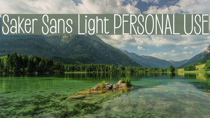 Saker Sans Light PERSONAL USE Font examples