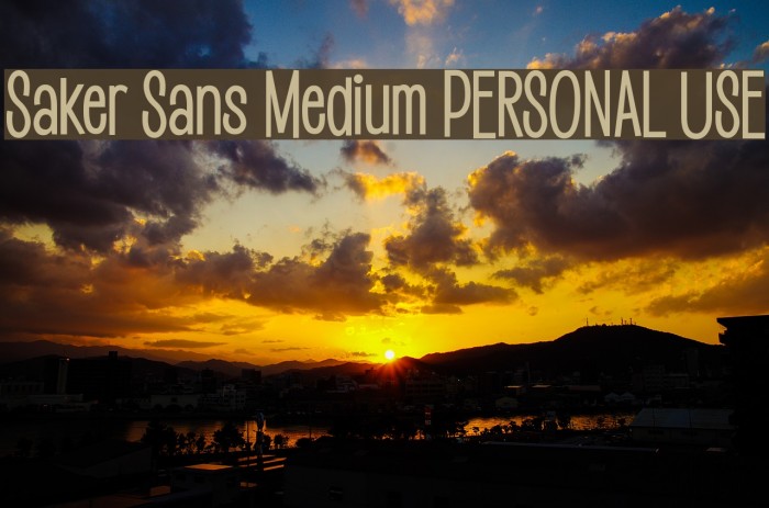 Saker Sans Medium PERSONAL USE Example 1
