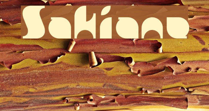 Sakiane Font examples