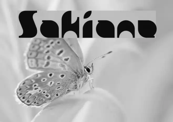 Sakiane Font examples