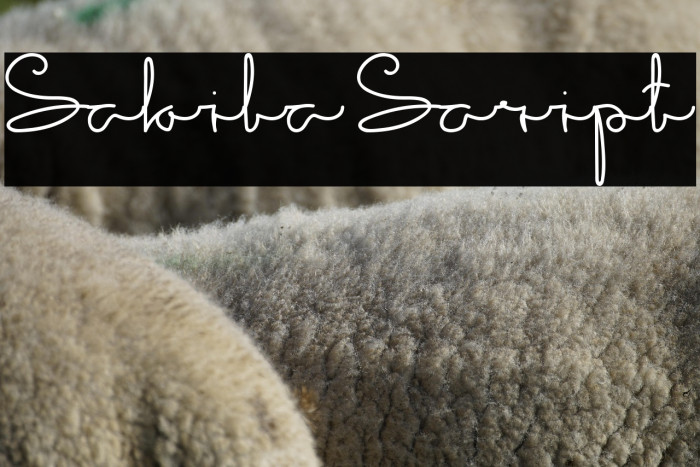 Sakila Script Example 1