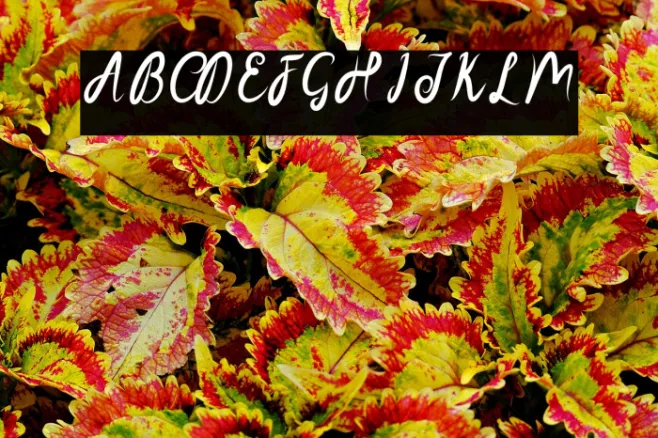 SakiraScript Example 3