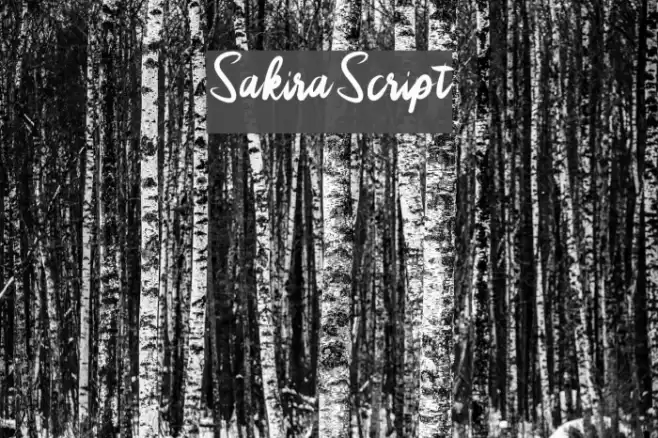 SakiraScript Font examples