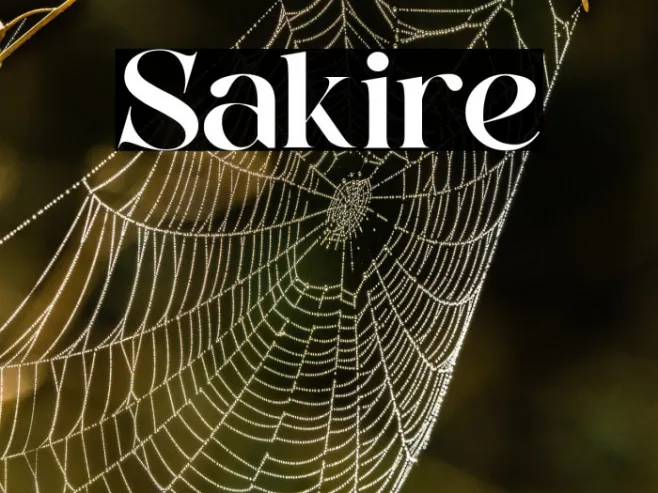 Sakire Example 2