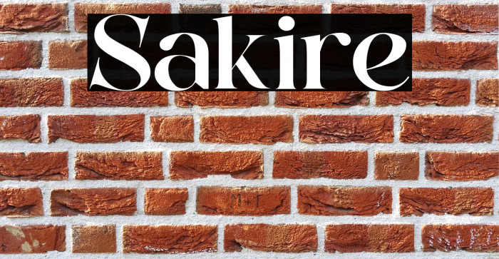 Sakire Example 3