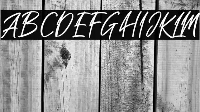 Sakoda Caratteri examples