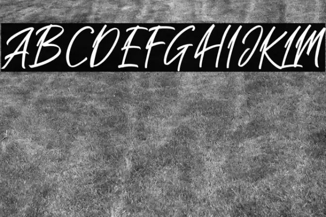 Sakoda Caratteri examples