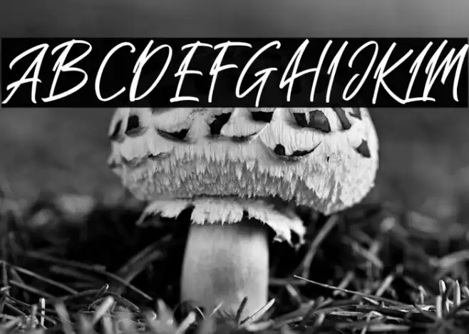 Sakoda Caratteri examples