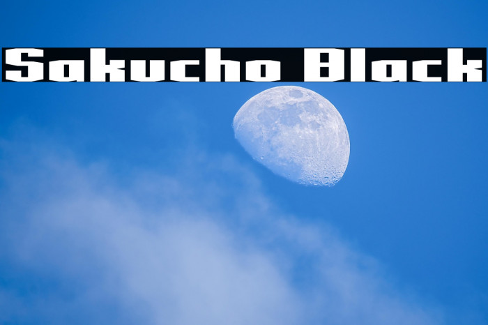 Sakucho Black Example 3
