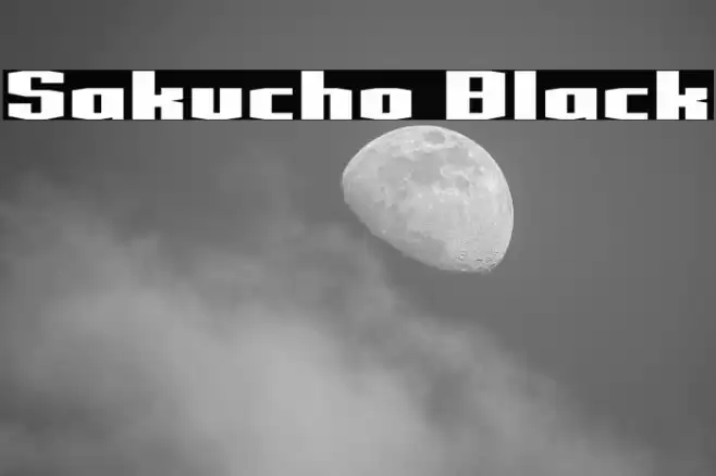 Sakucho Black Fuentes examples
