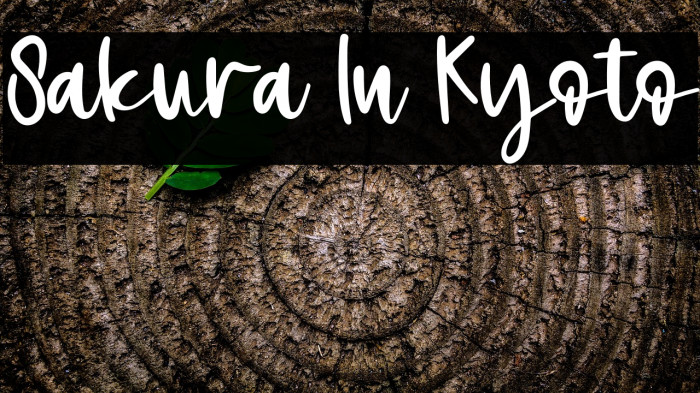 Sakura In Kyoto Example 1