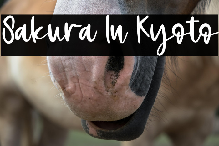 Sakura In Kyoto Example 3