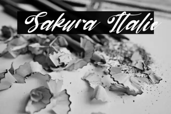 Sakura Italic Font examples