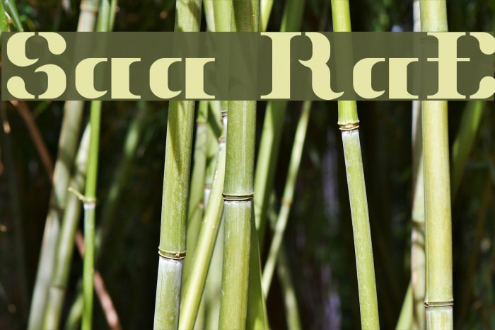 Sakura RegularE Font examples