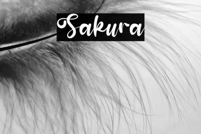 Sakura Font examples