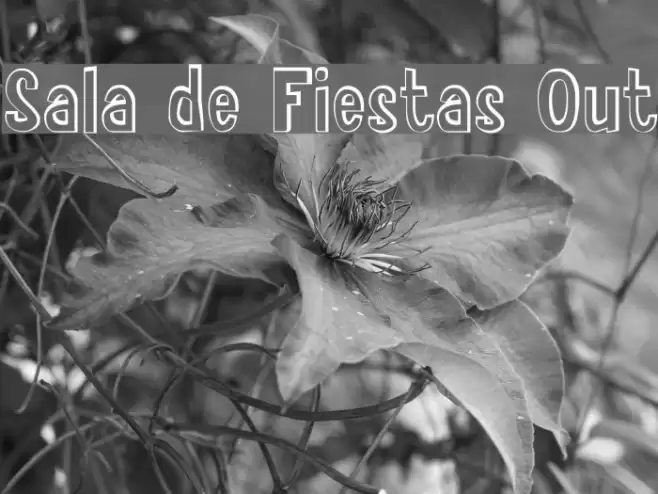 Sala de Fiestas Out Font examples