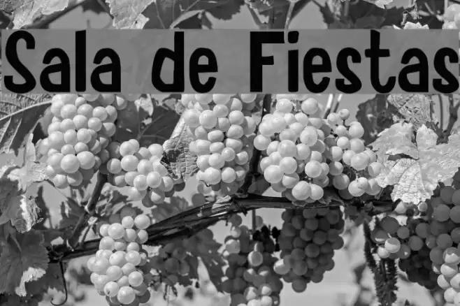 Sala de Fiestas Font examples