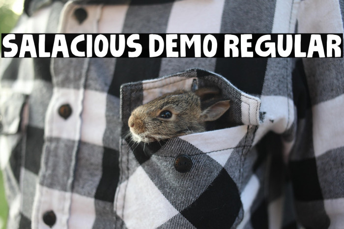 Salacious DEMO Regular Example 1