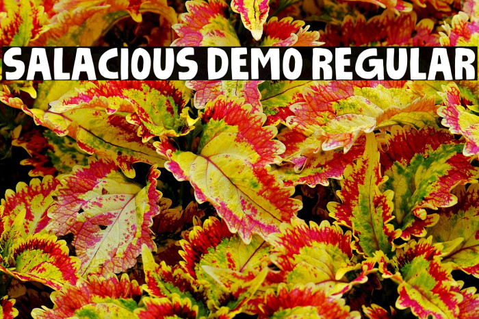 Salacious DEMO Regular Example 2